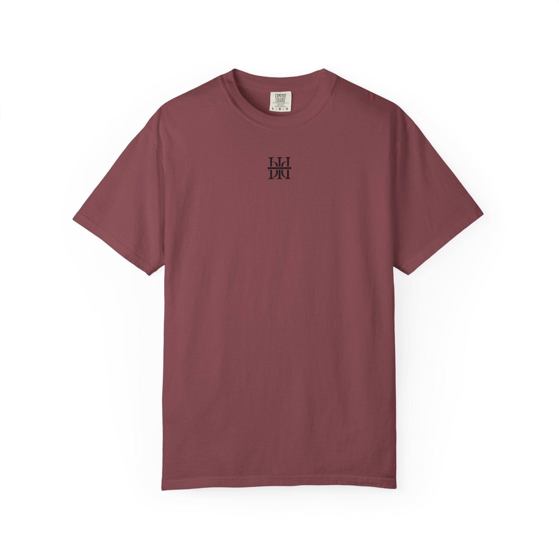 Dragon Fighter Unisex T-shirt - Born Again Design